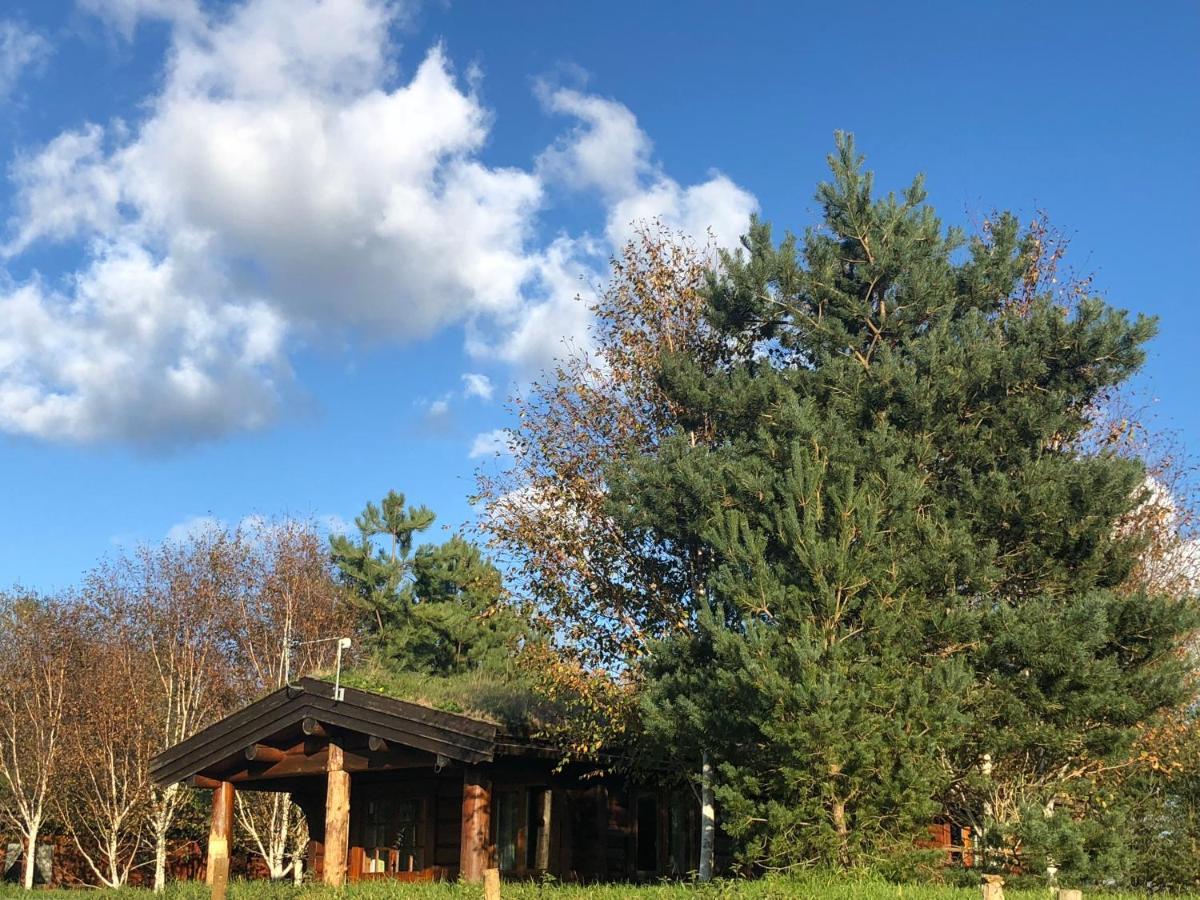 Log Home Village Улверстон Экстерьер фото