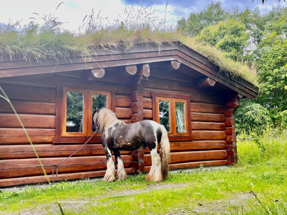 Log Home Village Улверстон Экстерьер фото